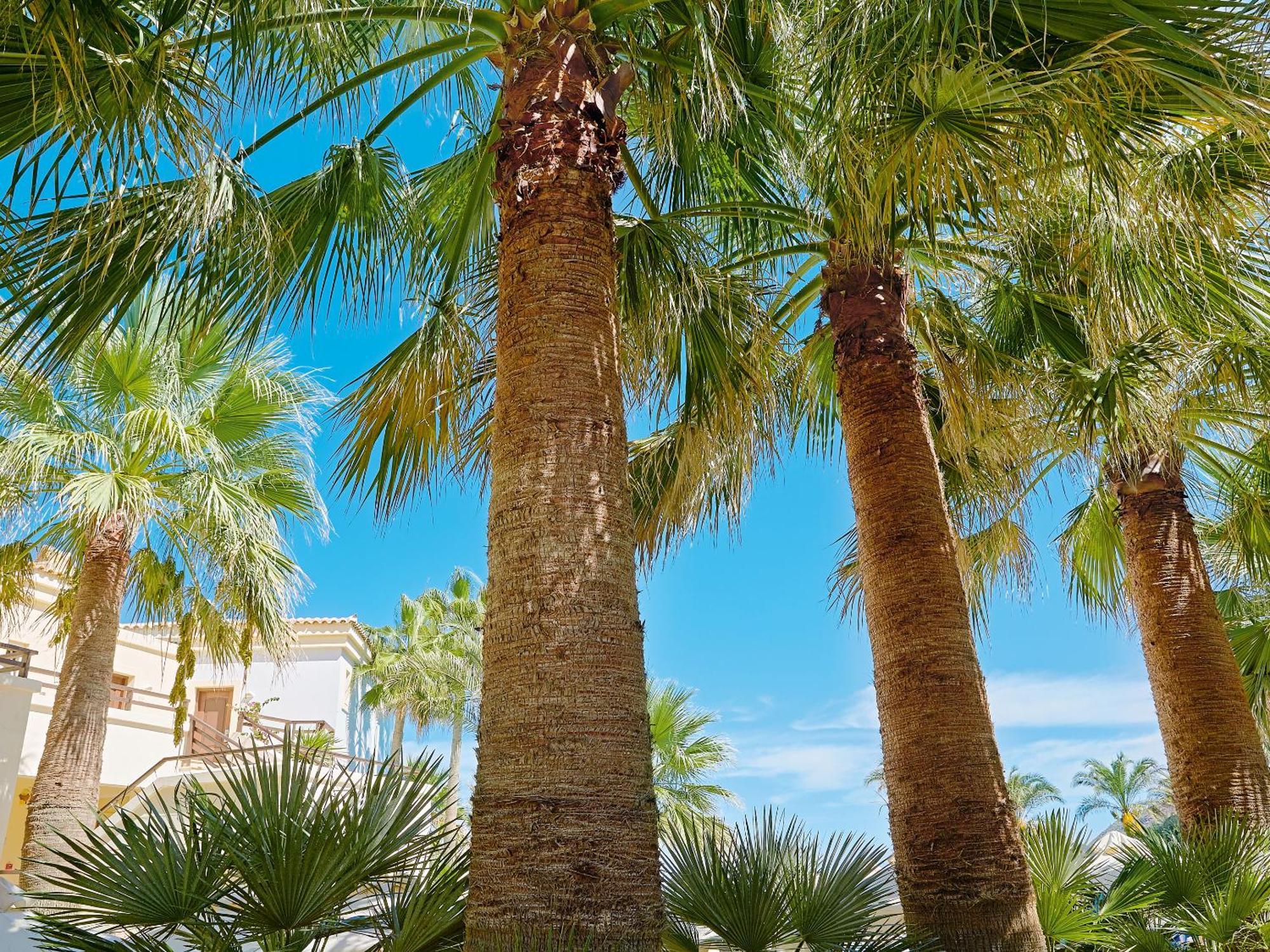 Grecotel Marine Palace & Aqua Park Rethymno  Exterior photo